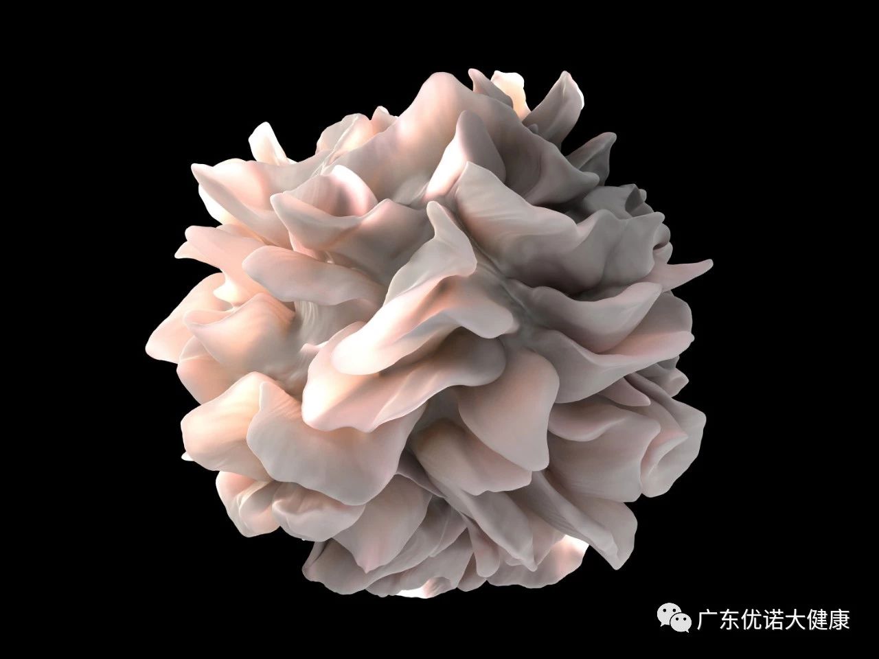 《Cell》子刊：預防癌癥復發新方法：制造大量樹突細胞