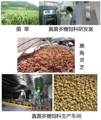 立體種養(yǎng)循環(huán)農(nóng)業(yè)模式為生態(tài)試驗區(qū)建設(shè)添磚加瓦