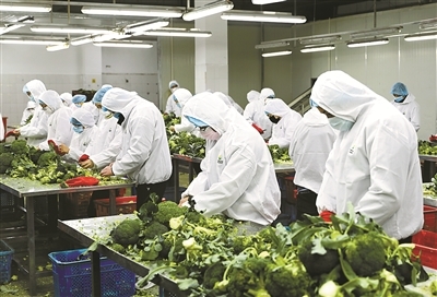 寧波日報社數字報刊平臺