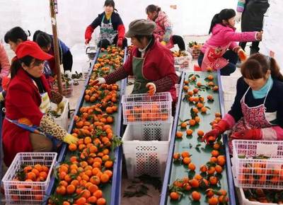 再擂戰鼓!云陽下步脫貧攻堅戰這樣打