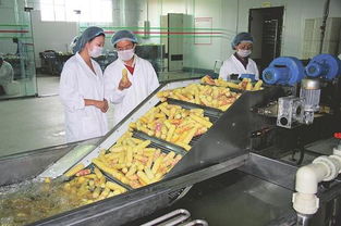 山西 深耕 農產品加工業