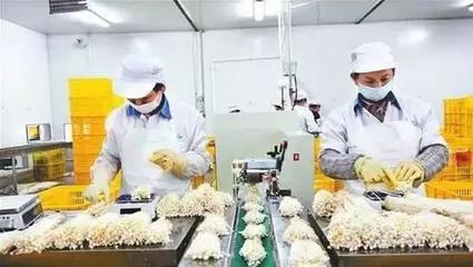 村里這些產業今年要火!農業農村部已明確要支持!看完后賺錢思路大開