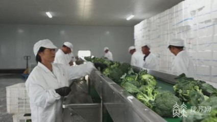鏈接田頭和餐桌 江蘇部署加快推進農產品初加工機械化高質量發展