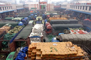 長沙市農(nóng)產(chǎn)品市場供應(yīng)充足